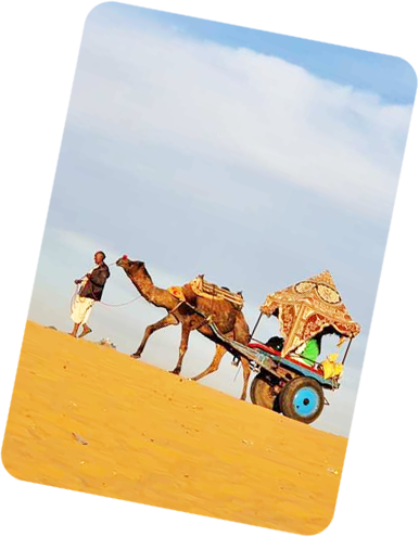 Best travel agency in jaipur