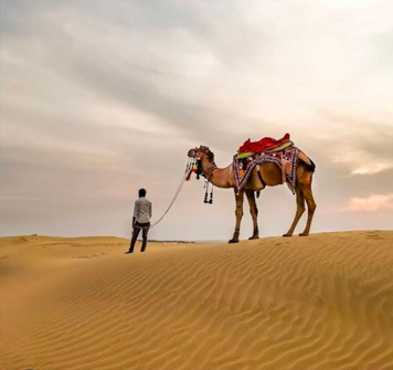 Rajasthan 6 Nights 7 Days Tour Package