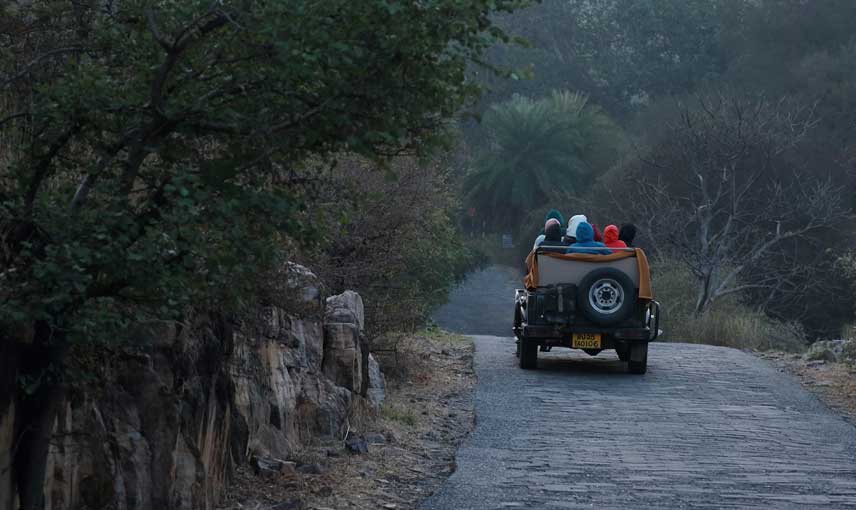 Ranthambore National Park