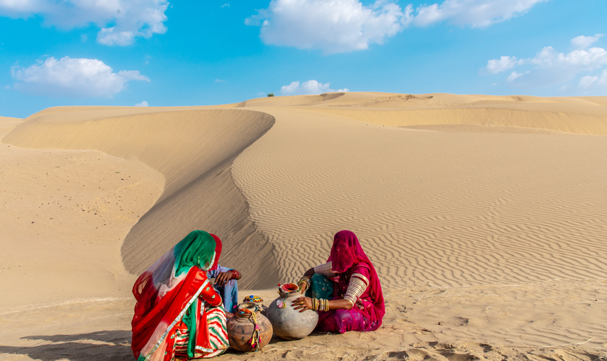 Rajasthan Wildlife Encounters